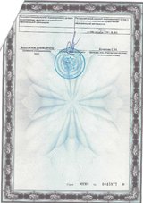 ecvdo.ru